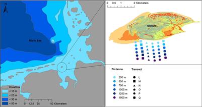 Small-Scale and Long-Term Variability in Population Dynamics of the Cockle Cerastoderma edule in a Southern North Sea Tidal Flat System